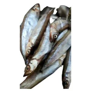 알배기 열빙어(시사모) 특대 500g, (25-40미) 내외, 2개