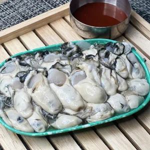 [산해직송] 통영 햇 제철 생굴 2kg 최상급 굴