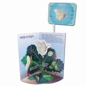 [셀러허브]배추흰나비 한살이 입체카드 5p 2개 K00274 실험세트 (S31268323)