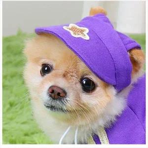 [콩심팥심]D11 애견 패션 산책 트레이닝 모자 퍼플