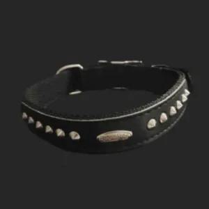 애견목줄 PP 개목줄 25mm 60cm 검정 강아지목걸이 진돗개목줄