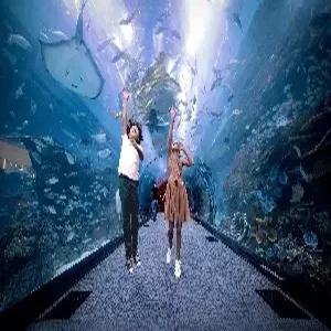 두바이/아부다비 6일 #품격 5성호텔 #분수쇼 관람식  #3대전망대 #사막사파리 #금커피 #루브르 #대통령궁 #두바이2박/아부다비2박