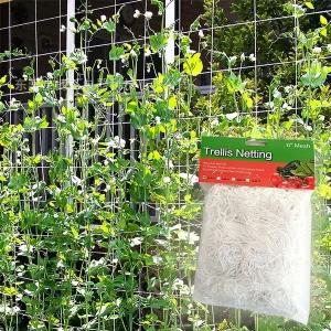 [셀러에이드]덩굴보조기구 식물 넝쿨 그물 네트 망 지지대 1.67x5m