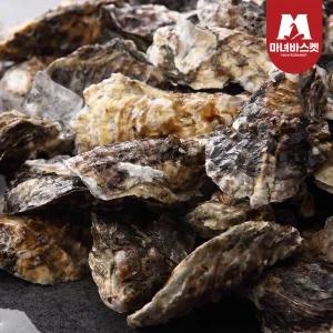 통영 석화 각굴 5kg