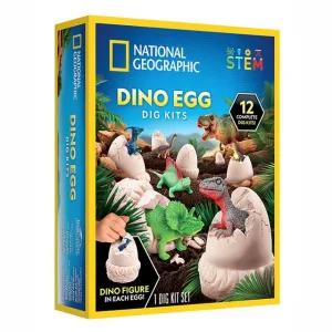 내셔널지오그래픽 화석발굴 공룡알 12pk 어린이 유치원 STEM 과학 교구
