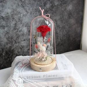 프리저브드플라워 카네이션 유리돔-어버이날선물