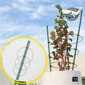 [골드스마일]원형 식물 지지대 모양의 울타리 지주 75cm