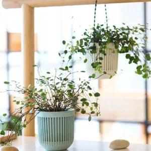 행잉 미니화분 걸이 2P 인테리어 벽걸이 화분 화병 행잉화분 행잉화분걸이 행인화분