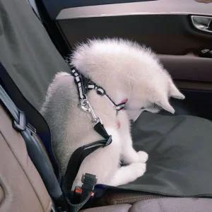 차량용 애완 동물 강아지 자동차 방수 시트 M10978 강아지자동차시트 방수시트커버