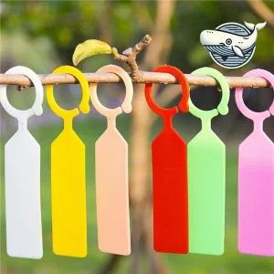 다채로운 컬러 식물 이름표 핀형 식물 카드