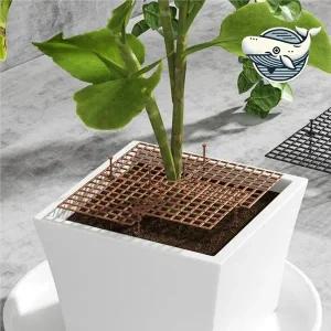 식물 보호 화분커버 2종 실내외 화분가리개