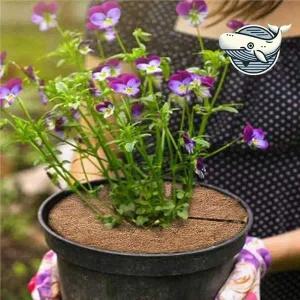 [골드스마일]자연친화 식물 커버 20cm 코코넛 화분가리개