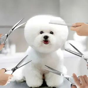 반려동물용 셀프 미용 가위 안전 커팅 도구 3종 세트