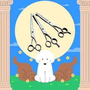 애완동물 셀프미용 가위 숱가위 곡선형 커팅 3종세트