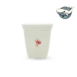 다육식물 기르기 정사각 플라스틱 화분 실내