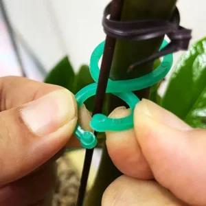 화분지지대 식물 화초 고정 지지대 조롱박 클립 20P 오이집게 식물클립 토마토집게 식물집게 작물집게