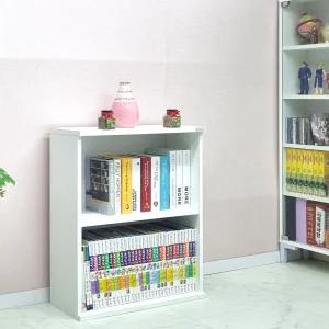 드림퍼니처 베이직696 깊이24cm A4화일 2단 책장 소형 책꽂이 공간박스 다용도 수납장 피규어 진열장 장식장 틈새장 소품장