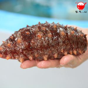 [밥먹니] 청정해역 울릉도 홍해삼 1kg/2kg