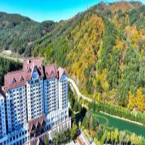 [강원] 용평 리조트(강원호텔/평창호텔/평창용평 리조트)