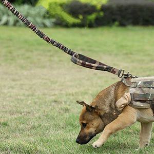 강아지 애견 리드줄 전술목줄 훈련용 군용 산책끈 전술 대형견산책 밀리터리