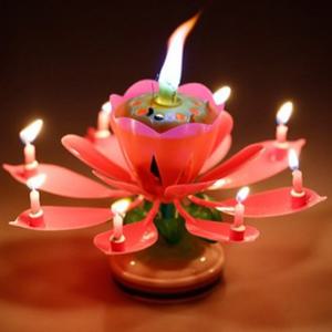 생일연꽃초 축하파티케이크이벤트 회전멜로디초