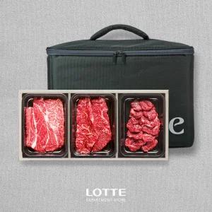 [롯데백화점]한우지예 1++9등급 프리미엄 실속혼합세트( 냉장/구이,정육 혼합/1.2kg)