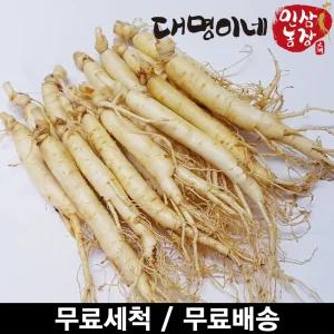 오쿠용 1회분 세척 인삼/수삼/원삼 10-13편(250g)