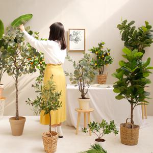 인테리어 나무 조화 모음 여인초 레몬트리 대형 화분