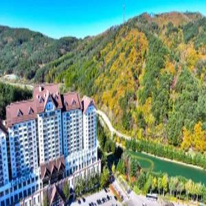 [강원 호텔] 용평리조트 (평창)