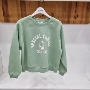 [에꼴리에]애니멀 일러스트 라글란 맨투맨티 22D0454A_HDD