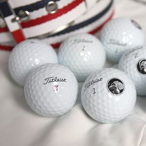 타이틀리스트 로스트골프공 3피스 4피스 A-등급