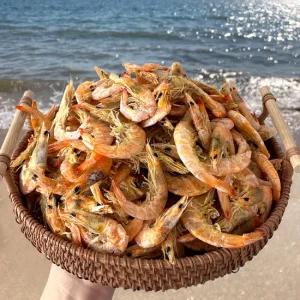 국산 건새우 1.5kg 상급 말린새우 중하새우 보리새우