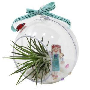 10인용 어린이화분 원예키트 쉬운 화분키우기 행잉식물 틸란 에어플랜트 유아