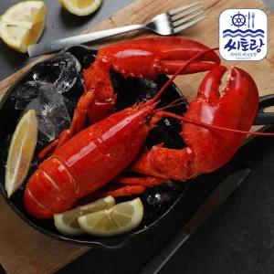 [롯데백화점]푸드진정성 캐나다 자숙랍스터 특 4미/미당 450-500g/냉동
