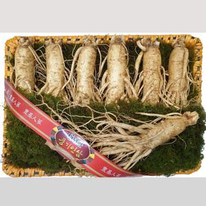 풍기인삼 수삼 인삼선물세트 등바구니포장 1kg (6-7뿌리) 6년근 정품원수삼
