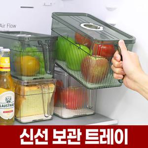 냉장고 신선 보관 채반 트레이 야채 채소 과일 정리 수납 플라스틱 투명 용기 대파 파 통