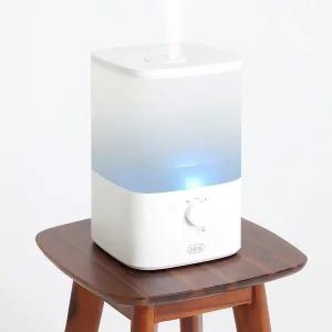 레이나 미니 복합식 가습기 통세척 사무실 소형 4L 가습기 RH-4524