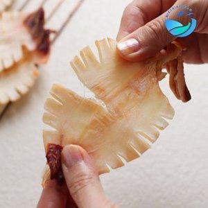 [바다씨쌀롱]꼬마한치 마른한치 L사이즈 10마리 AAA급 건조한치