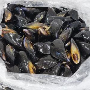 국내산 생물 세척손질 홍합 1kg 4kg 생홍합 남해안 제철홍합