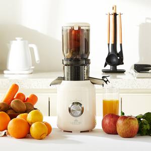 더 퀸 벨로 착즙기 원액기 슬로우 쥬서기 LHN-M250W