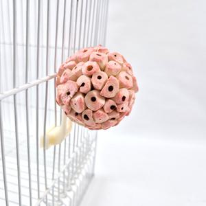 플라스틱 포크 L 앵무새 장난감 용품 입질 훈련 솔라볼 집게 스트레스 해소