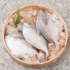 제철 손질 병어 4-5미 300g 外 횟감용 구이용