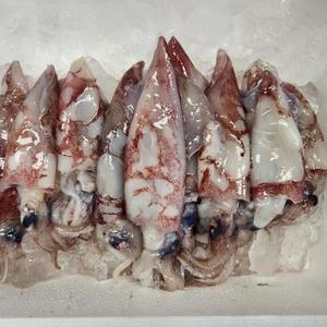 KJP 국산 제주 호록 총알한치 통찜용 미니 한입한치 1+1kg (2kg)