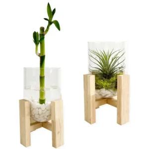 원목 테라리움 화분 만들기 식목일행사 1P 키트 초등diy 아이 노인정 교구