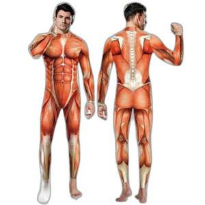 진격의거인 코스튬 머슬 근육 파티 수트 촬영 타이즈