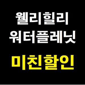 [당일가능]웰리힐리파크 워터플래닛 워터파크 골드시즌 하이시즌 종일이용권