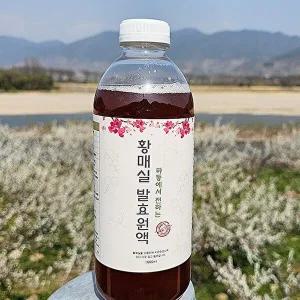 [지투지샵]3년숙성 황매실청 1000ml 1병