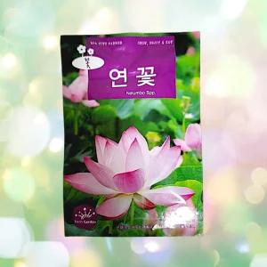연꽃 키우기 연꽃 수생 식물 연씨 연잎 모종 재배 수경재배 수련 종자 꽃씨 씨앗