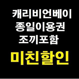 [당일가능문자전송]캐리비안베이 종일권 조끼포함 자유이용권 대인소인 로시즌