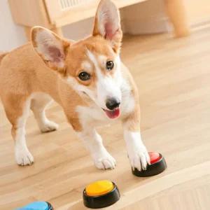 강아지 말하는 버튼 훈련 벨 장난감 녹음 간식 번역기